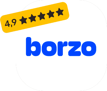 Delivery Borzo - 5 star service