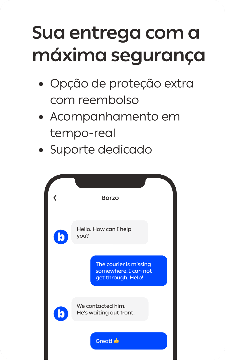 suporte - borzo app