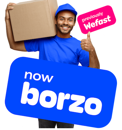 Borzo DD I'd Vs Normal I'd Full Details 🤑 DD I'd के फ़ायदे और नुकसान  #borzo #wefast #borzoddid 