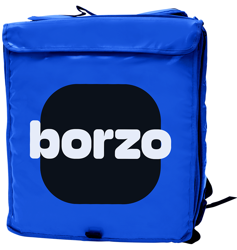 bags for couriers - borzo bag - borzo delivery