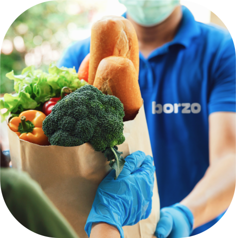 grocery delivery - borzo